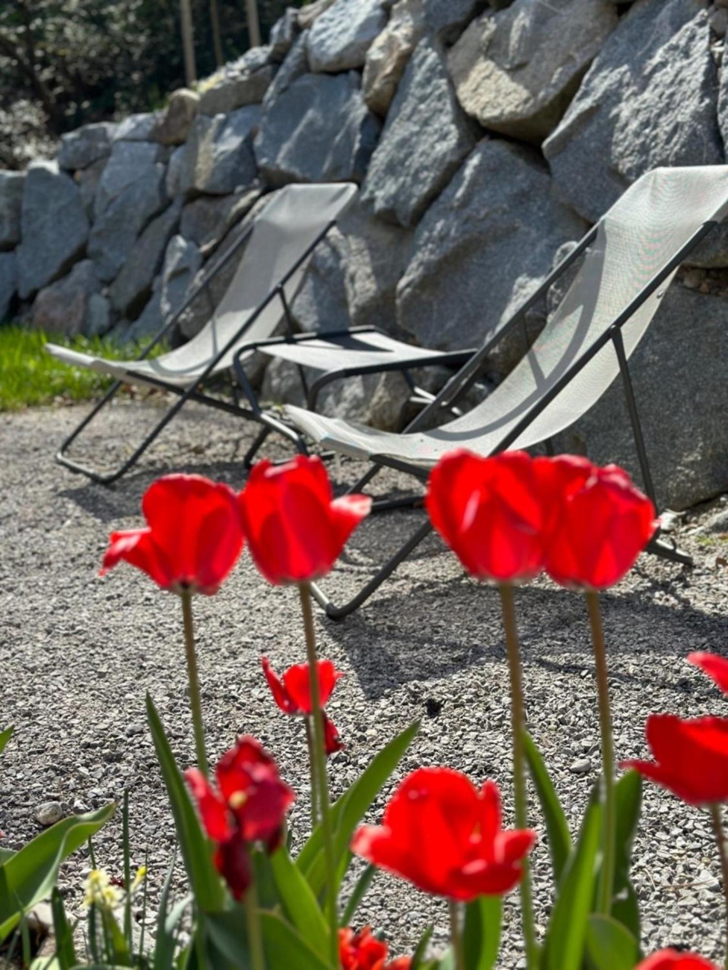 Chalet22 Beim Floesserhaus In Beuerberg Eurasburg Eksteriør billede